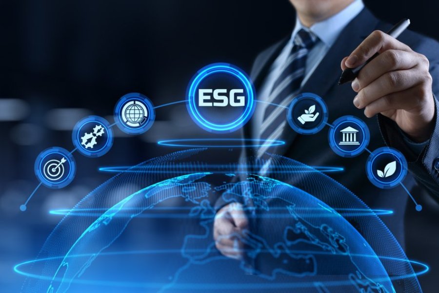 Building Enterprise Value: The ESG Way
